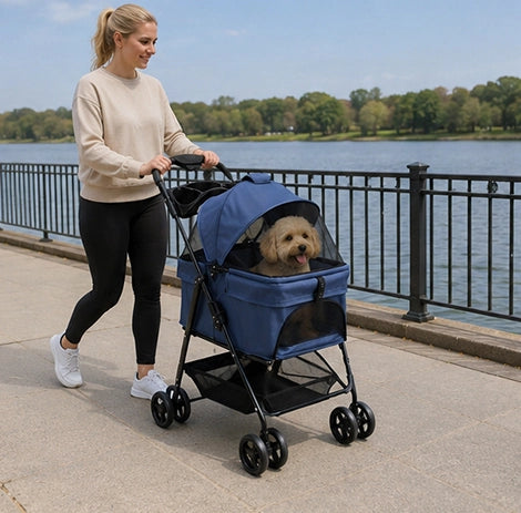poussette pour chien balade en bord de lac