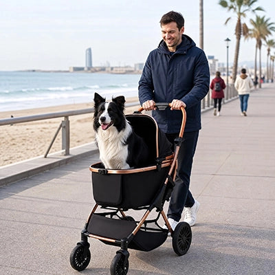 Poussette pour chien | Robuste