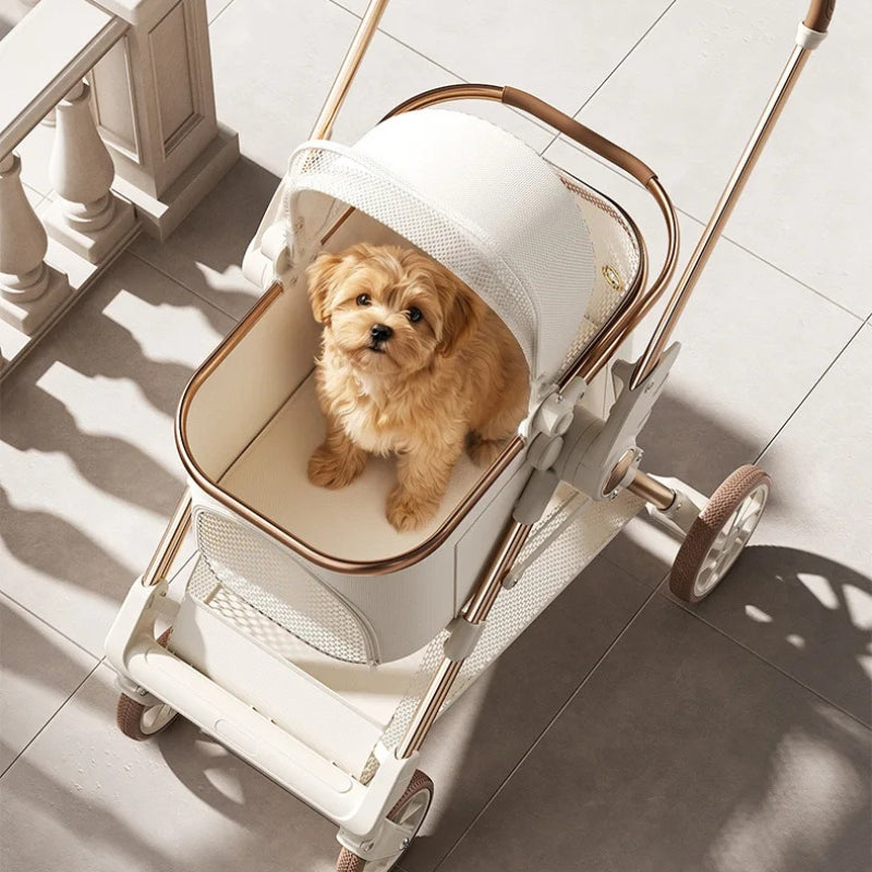 Poussette pour chien | Légère et Pliable