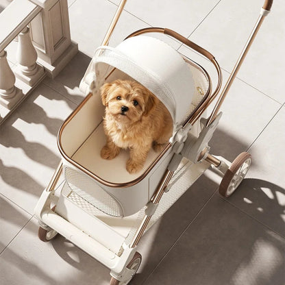 Poussette pour chien | Légère et Pliable