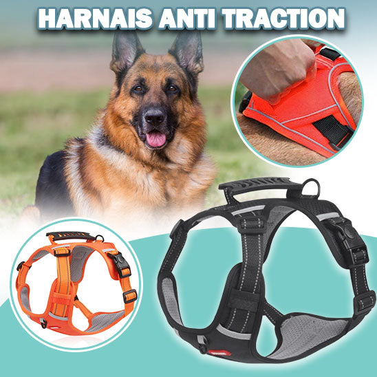 Harnais chien anti traction | Vixieprotec™ (Taille M)