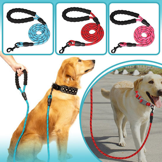 Laisse pour chien - L=2m | Velvetcorde™