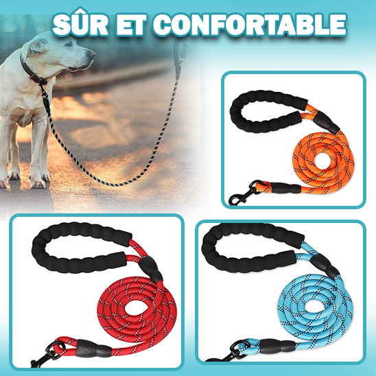 Laisse pour chien - L=1,5m | Velvetcorde™