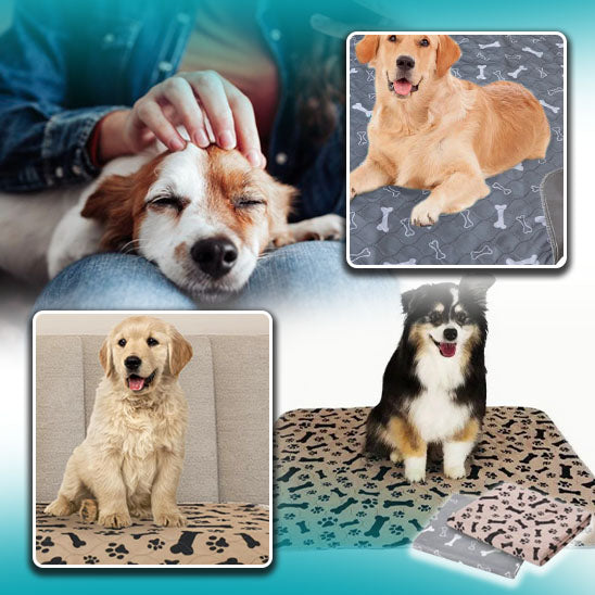 Tapis étanche pour chien | Luckyabsorb™