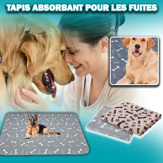 Tapis étanche pour chien | Luckyabsorb™