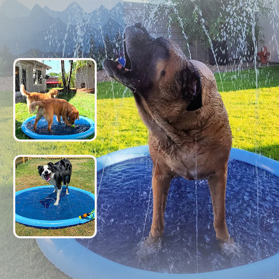 Piscine pour chien | Coolpet™ - Je Promène Mon Chien