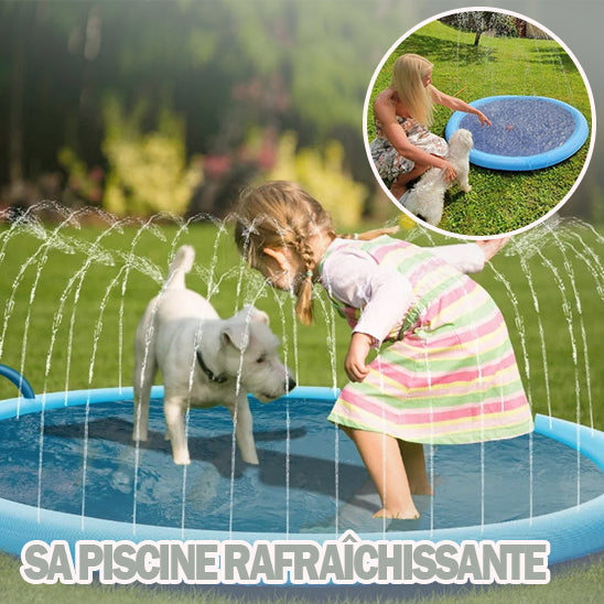 Piscine pour chien | Coolpet™ - Je Promène Mon Chien