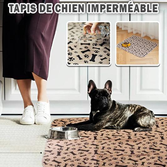 Tapis étanche pour chien | Luckyabsorb™