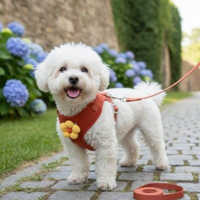 Harnais pour petit chien | ComfortBreath™