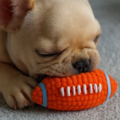 Ballon pour chien | Foot-US