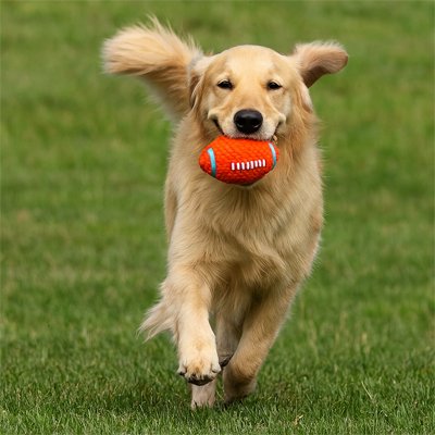 Ballon pour chien | Foot-US