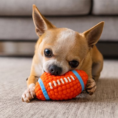 Ballon pour chien | Foot-US