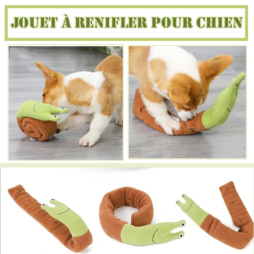 Jouet pour chien | TitouCroq™ - Je Promène Mon Chien