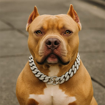 Collier pour chien | Luxe Cubain