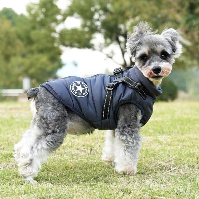 Manteau Chien | MaxiTout™