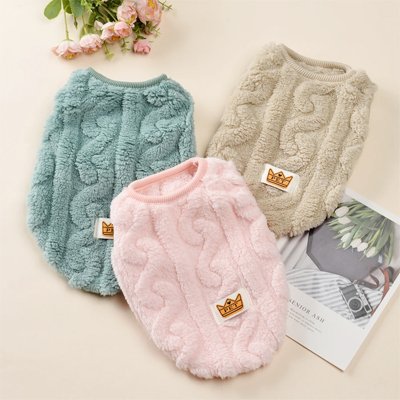 Pull pour Chien | PawWarm™