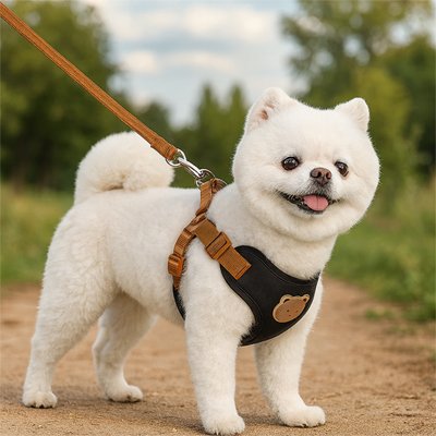 Harnais pour petit chien | Ultraconfort™