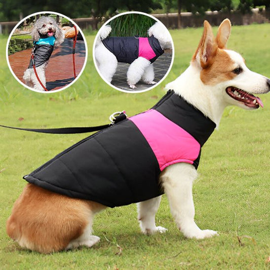 Manteau pour chien | PawStyle™