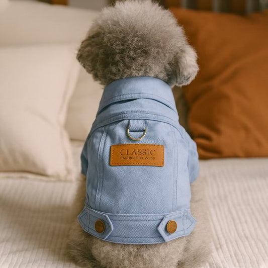 Manteau chien | Denim Élégance
