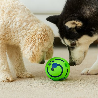 Balle pour chien | Ultra-Résistante