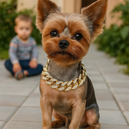 Collier pour chien | Luxe Cubain