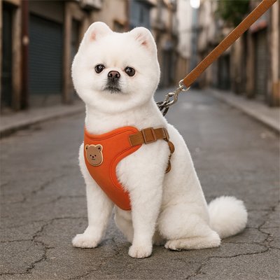 Harnais pour petit chien | Ultraconfort™