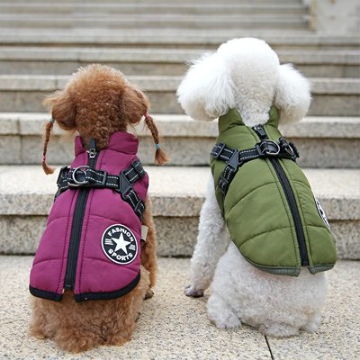 Manteau Chien | MaxiTout™