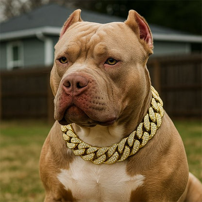 Collier pour chien | Luxe Cubain