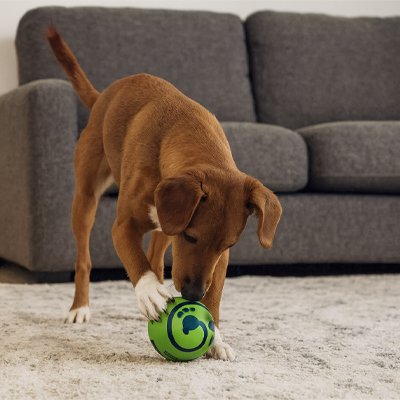 Balle pour chien | Ultra-Résistante