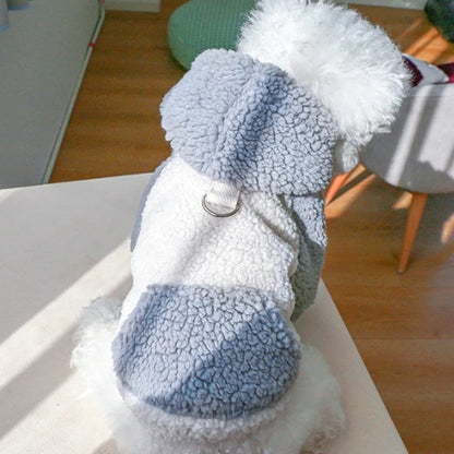 Pull chien | Confort Cozy