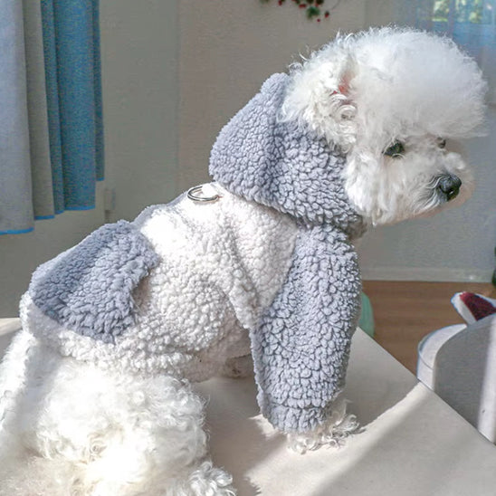 Pull chien | Confort Cozy