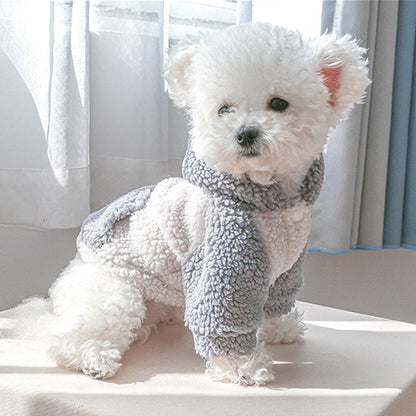 Pull chien | Confort Cozy