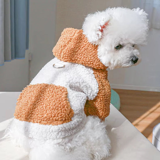 Pull chien | Confort Cozy