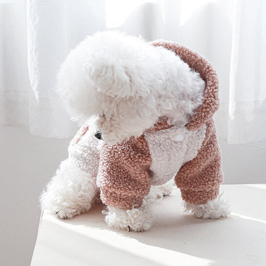 Pull chien | Confort Cozy
