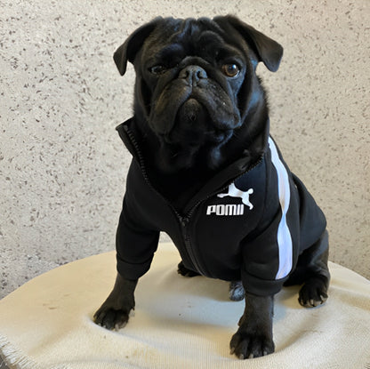 Pull chien | Confort Ultra
