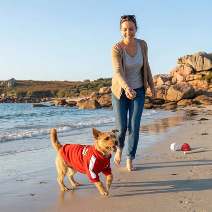 Pull chien | Confort Ultra