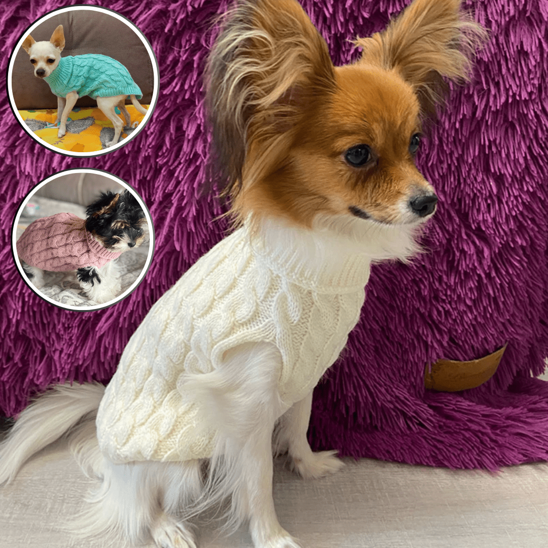 Pull pour chien | Ochaud™ - Je Promène Mon Chien