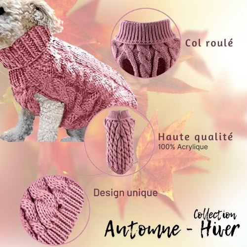 Pull pour chien | Ochaud™ - Je Promène Mon Chien