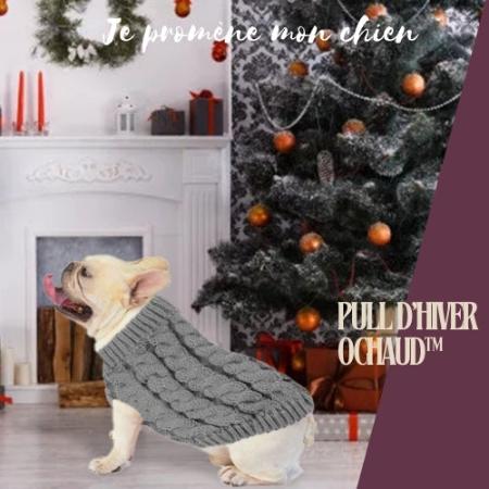 Pull pour chien | Ochaud™ - Je Promène Mon Chien