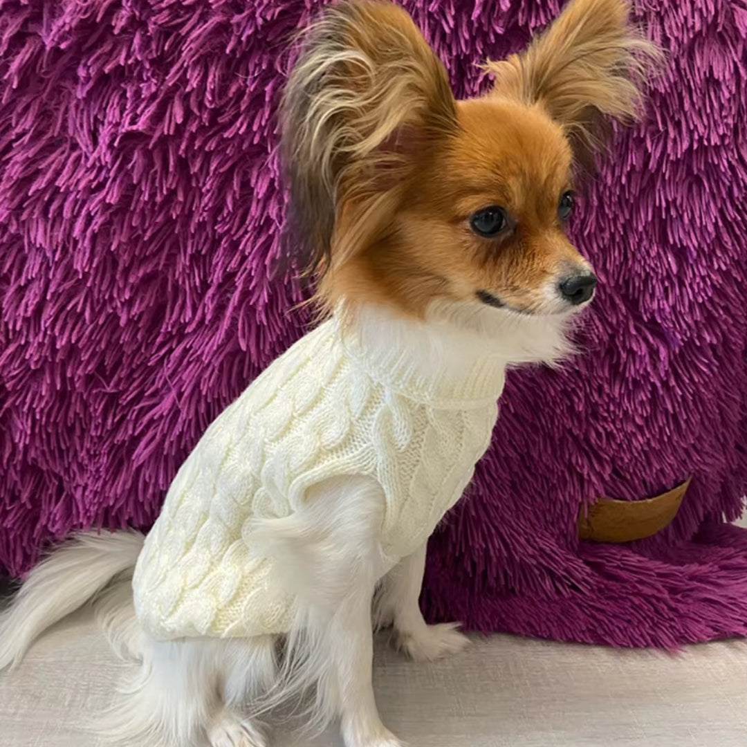 Ochaud Pull pour chien blanc garde bien au chaud