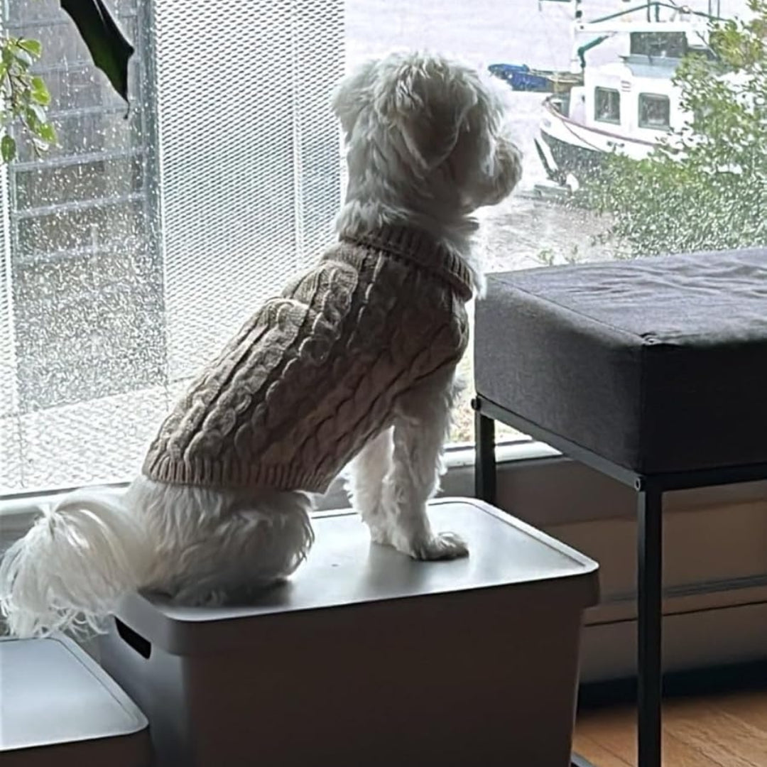 Ochaud Pull pour chien chaud et confortable