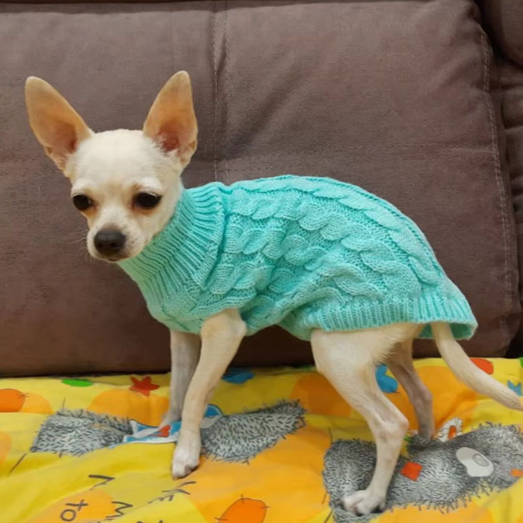 Ochaud Pull pour chien toutes occasions