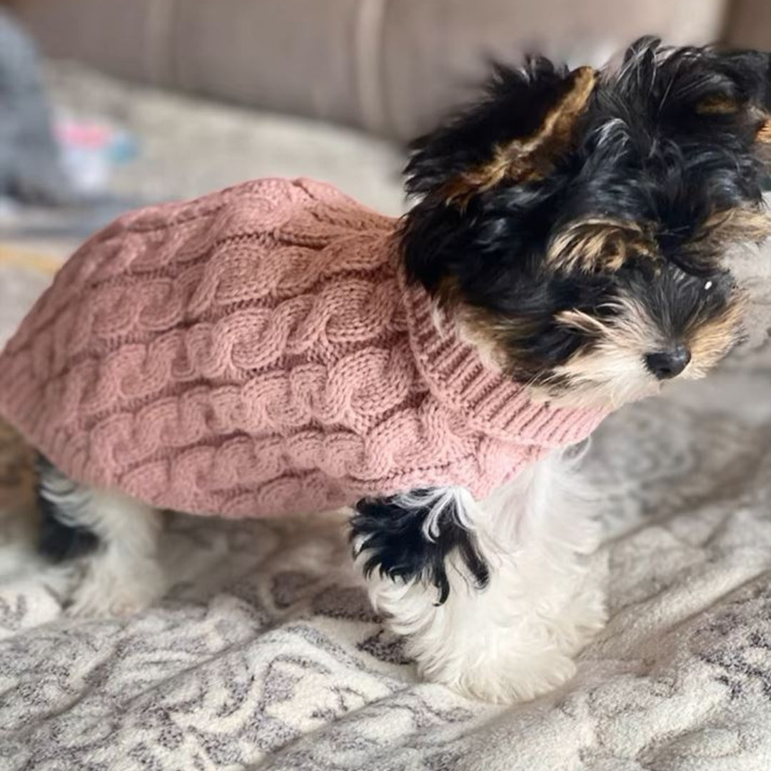 Ochaud Pull pour chien rose confortable