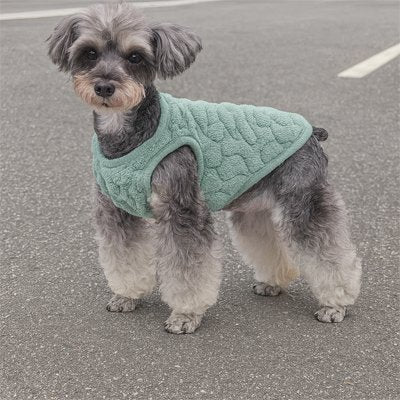 Pull pour chien PawWarm pour toutes saisons