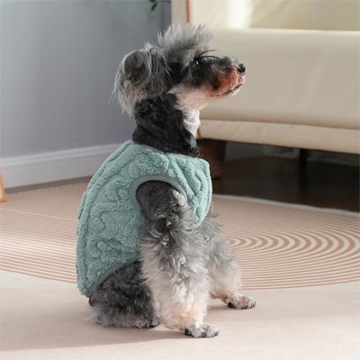 Pull pour chien PawWarm chaleur et confort