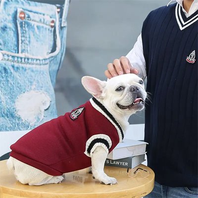 présentation du pull pour chien Style canin