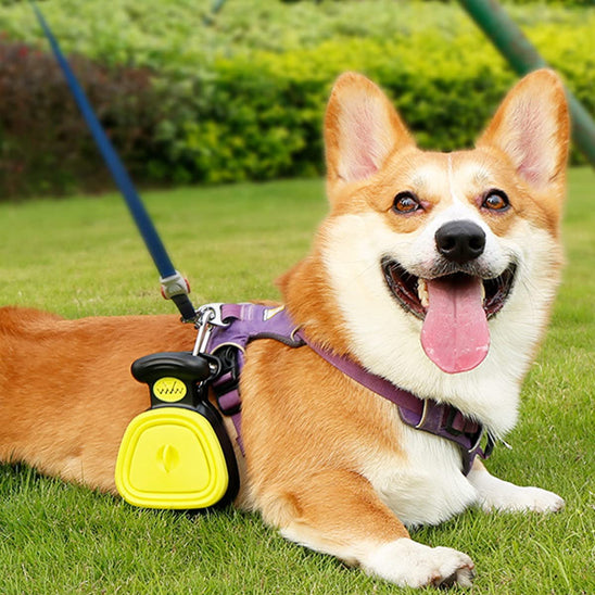 ramasse-crotte chien s'attache au harnais