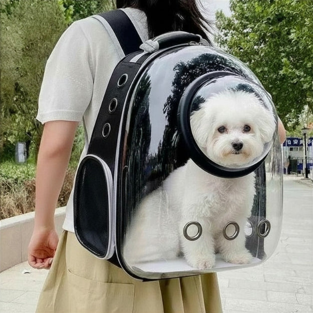 sac a dos chien portable sur le dos