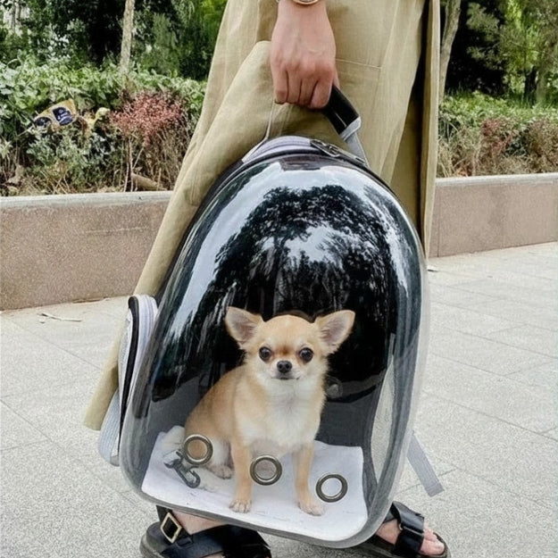 sac a dos chien portable à la main