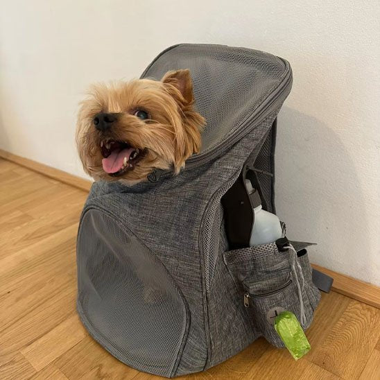 Sac à dos pour chien gris